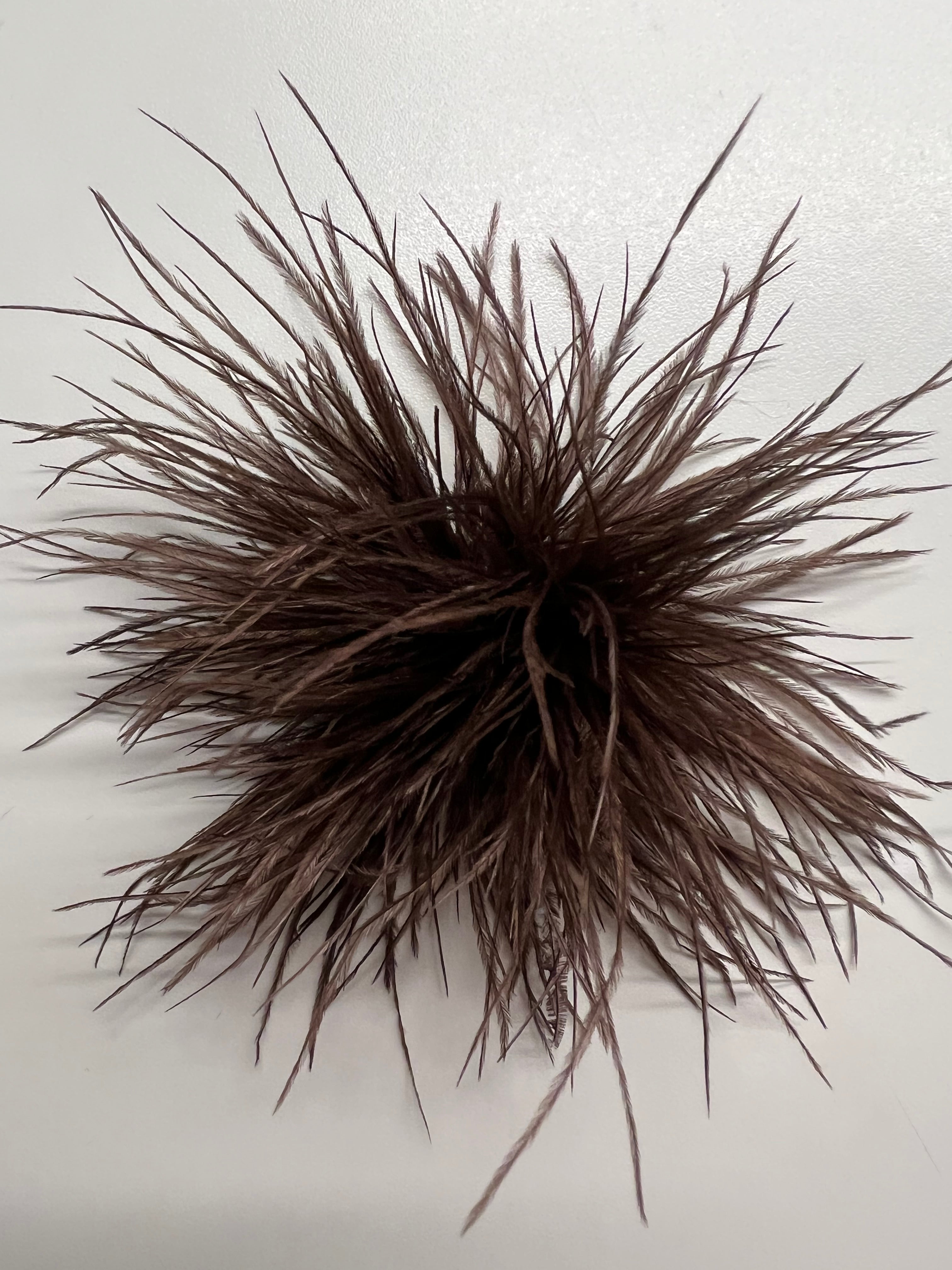 NEW Straußenfederblume