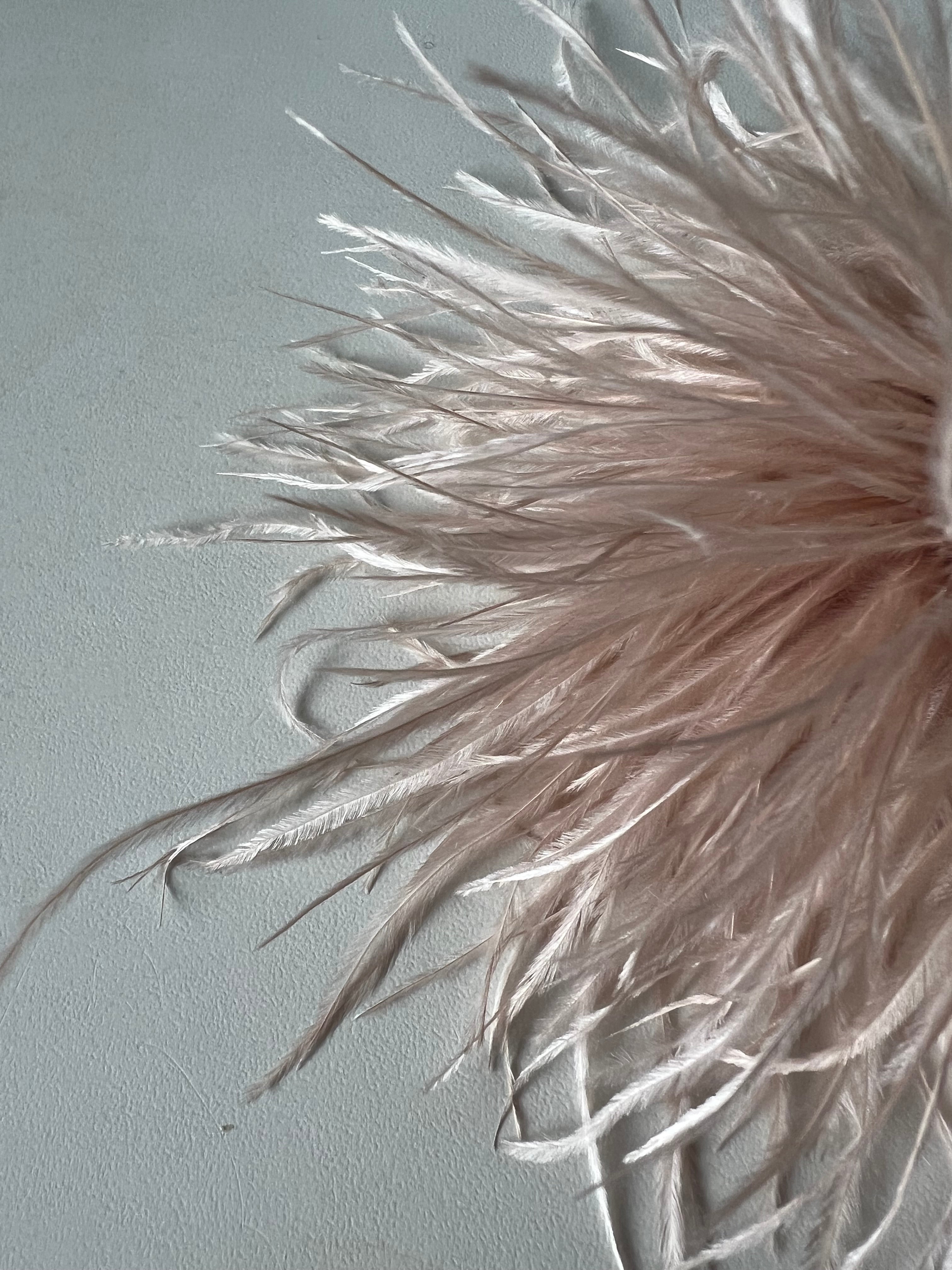 NEW Straußenfederblume