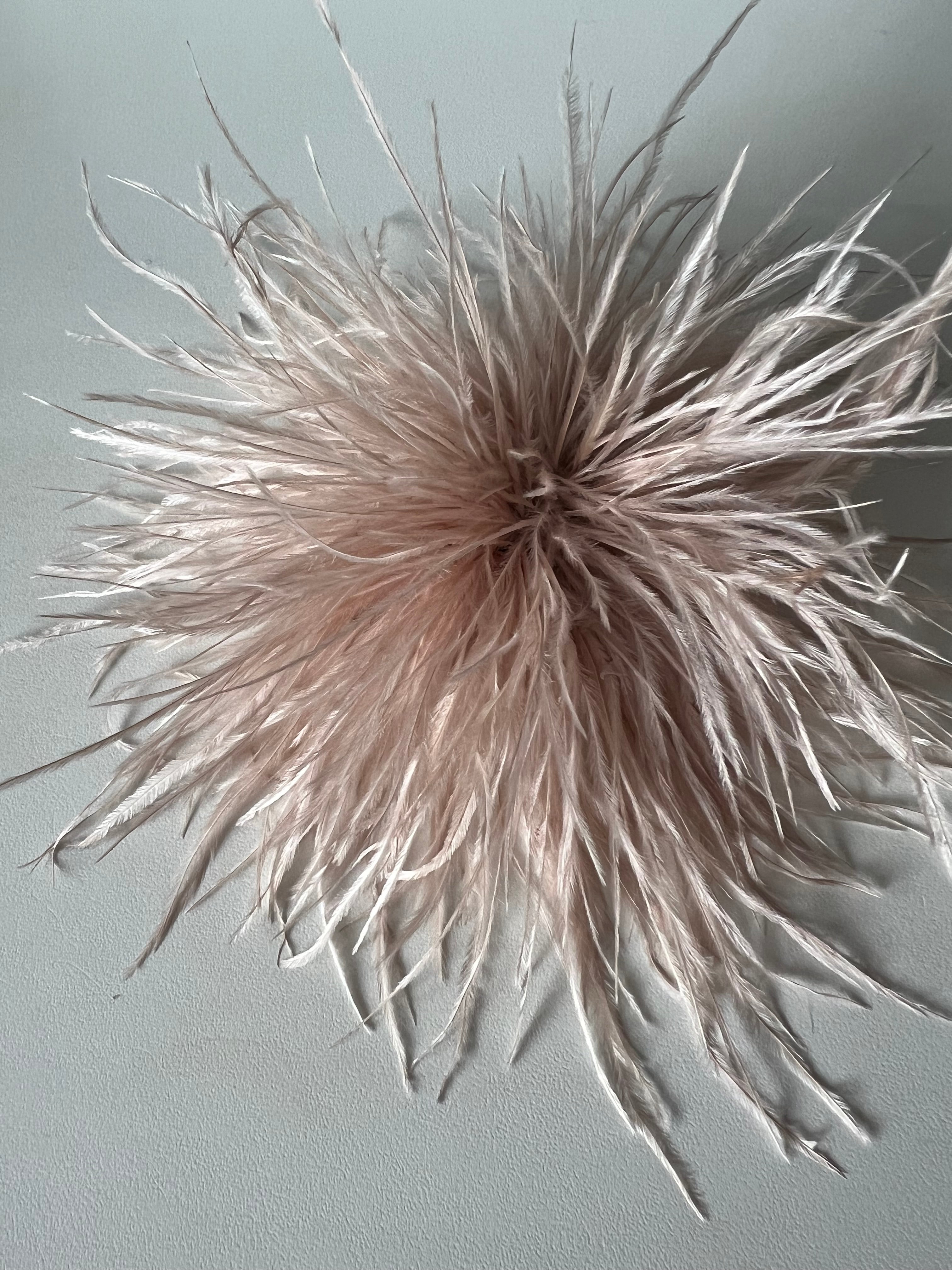 NEW Straußenfederblume