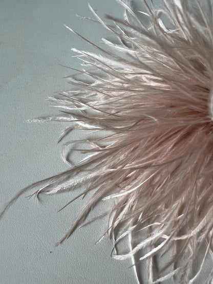 NEW Straußenfederblume