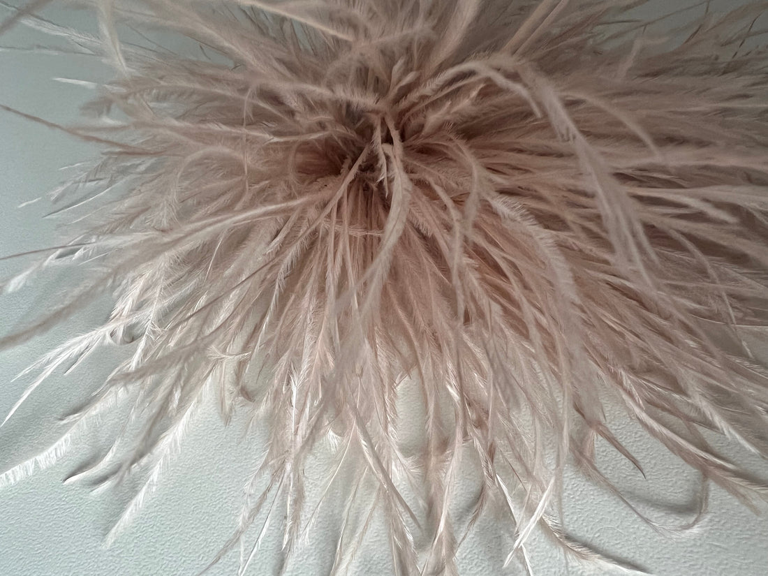 NEW Straußenfederblume