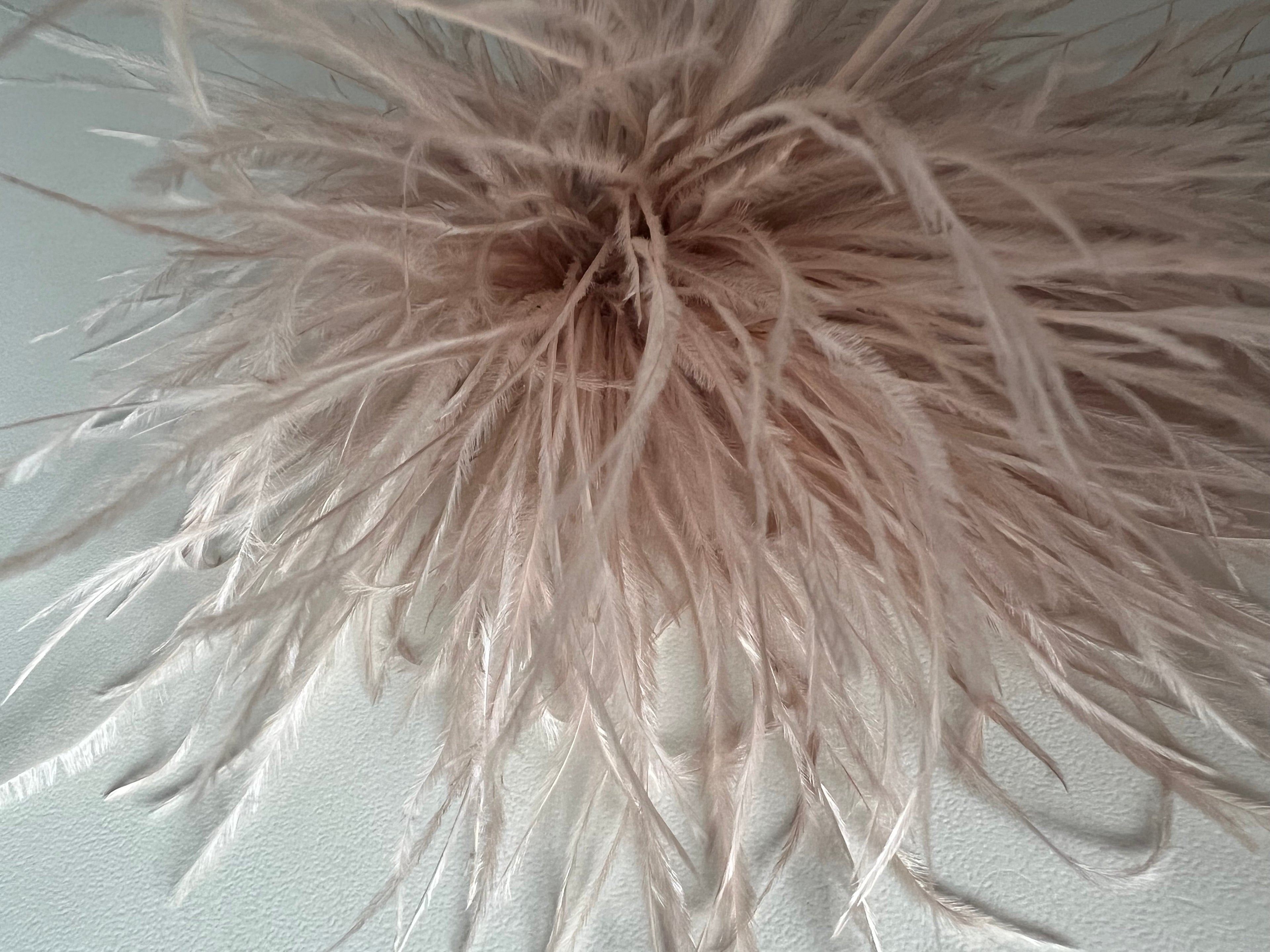 NEW Straußenfederblume