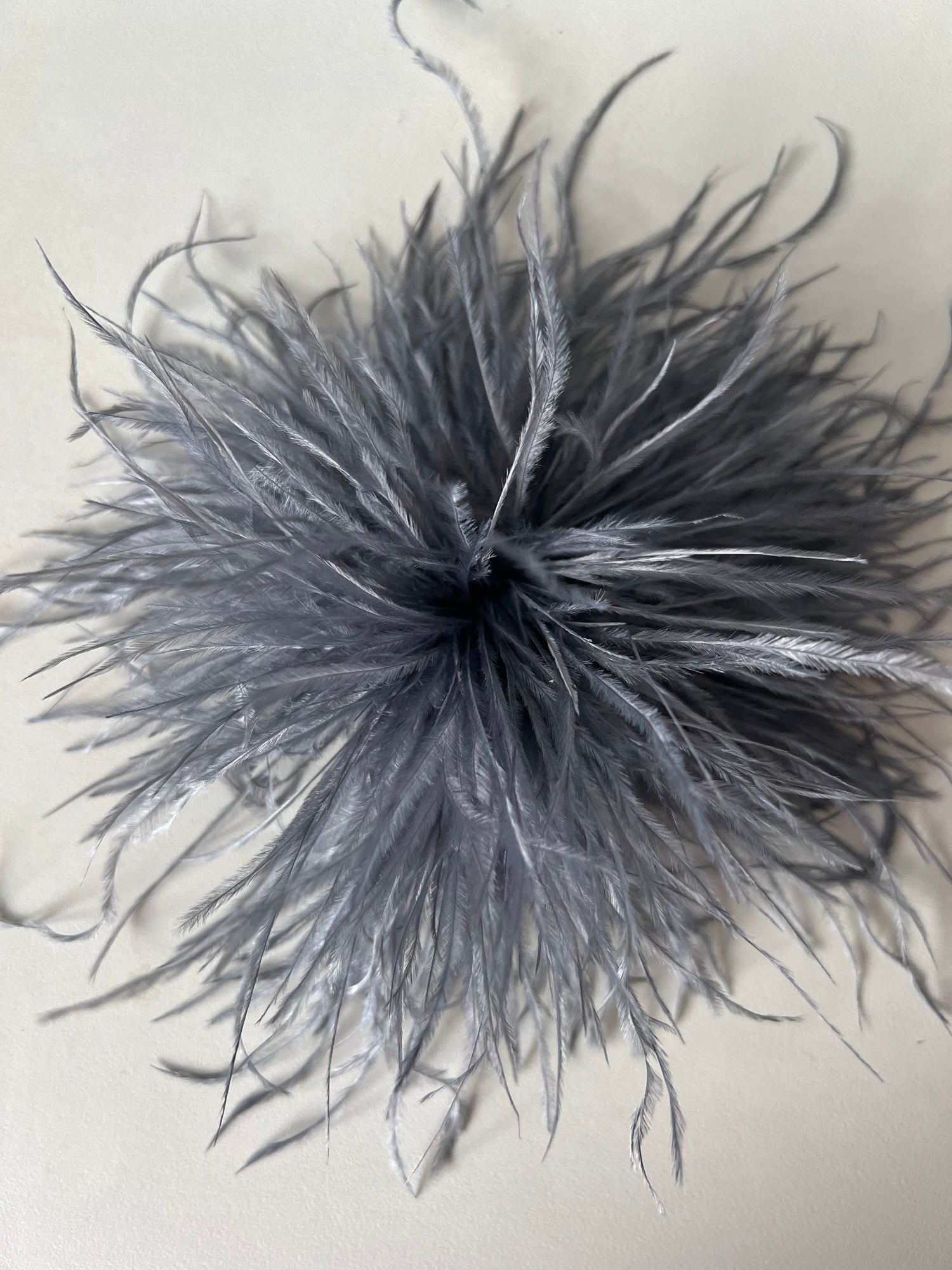 NEW Straußenfederblume