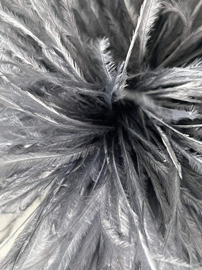 NEW Straußenfederblume